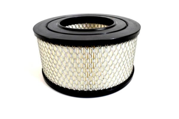 Champion Air Filter Replacement - P4224A - High-Quality Air Filters